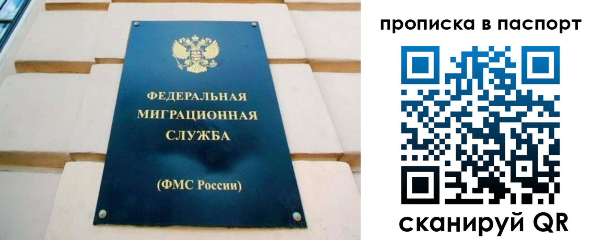 временная регистрация гарантия в Коле